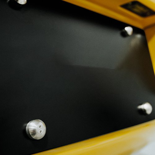 security screws for license plate