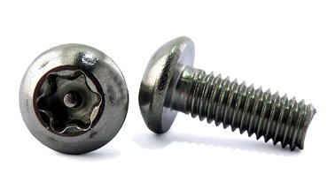 pan head Torx Security Screw