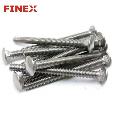 stainless steel Carriage Bolt