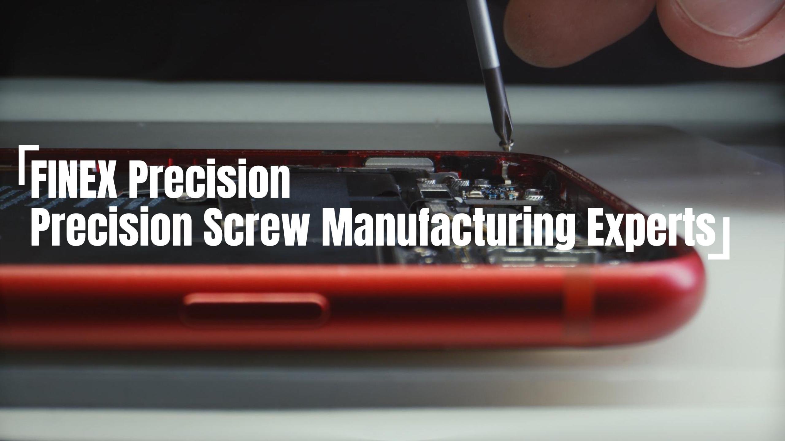 Precision Small Screw cover
